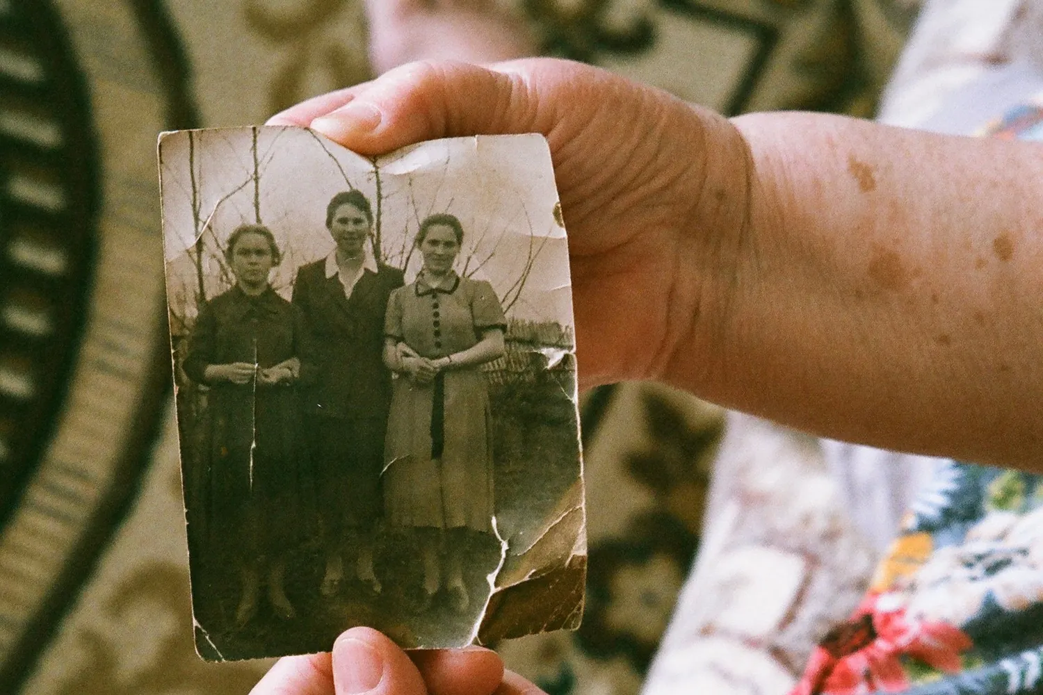 Mains tenant une photographie familiale ancienne pendant une recherche généalogique